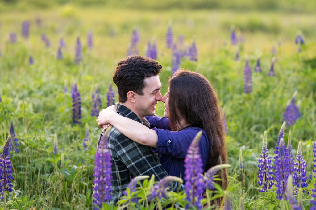 Surprise engagement in lupine field near Acadia National Parl