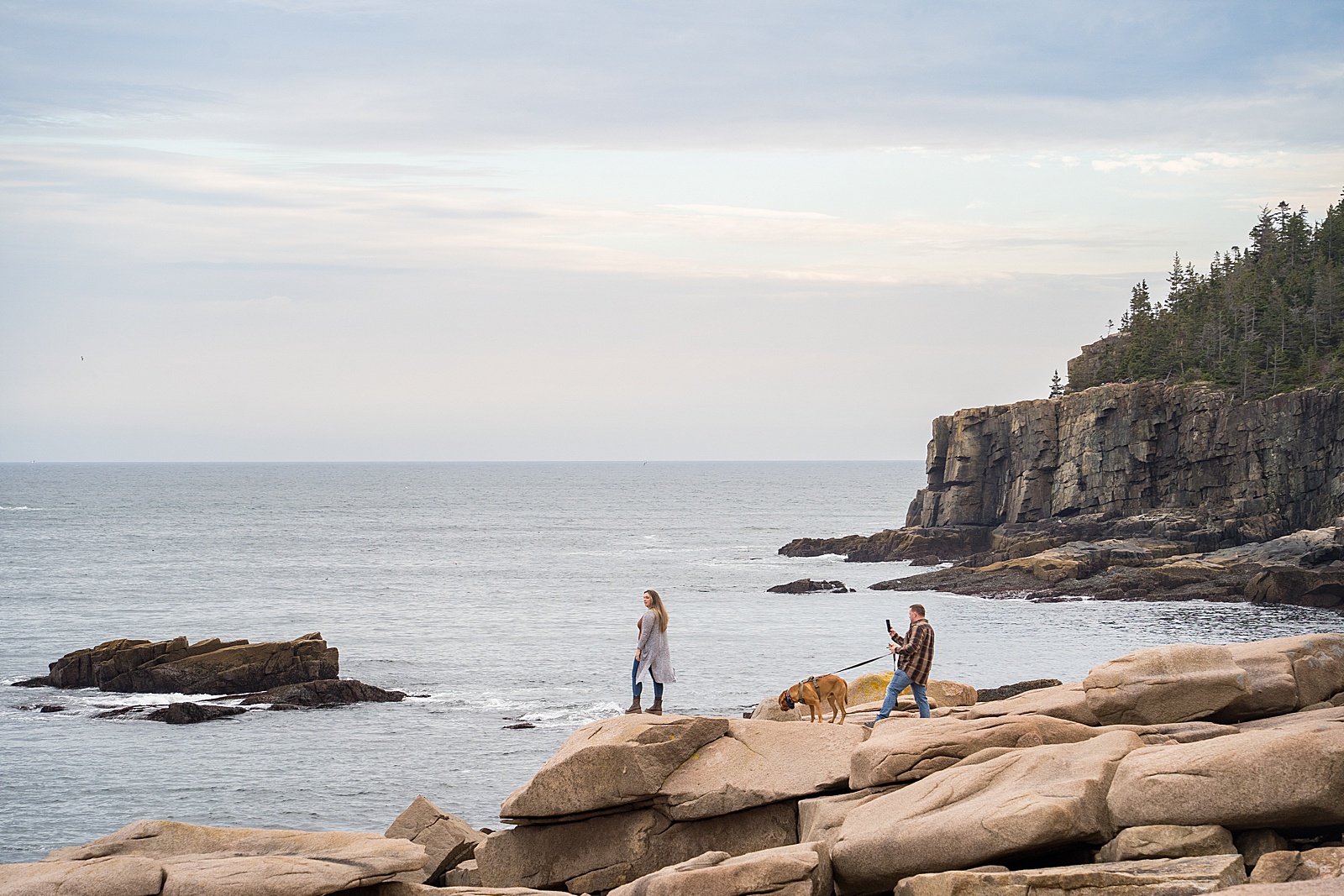 Acadia Secret Proposal