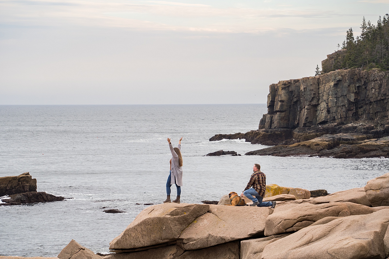 Acadia Secret Proposal