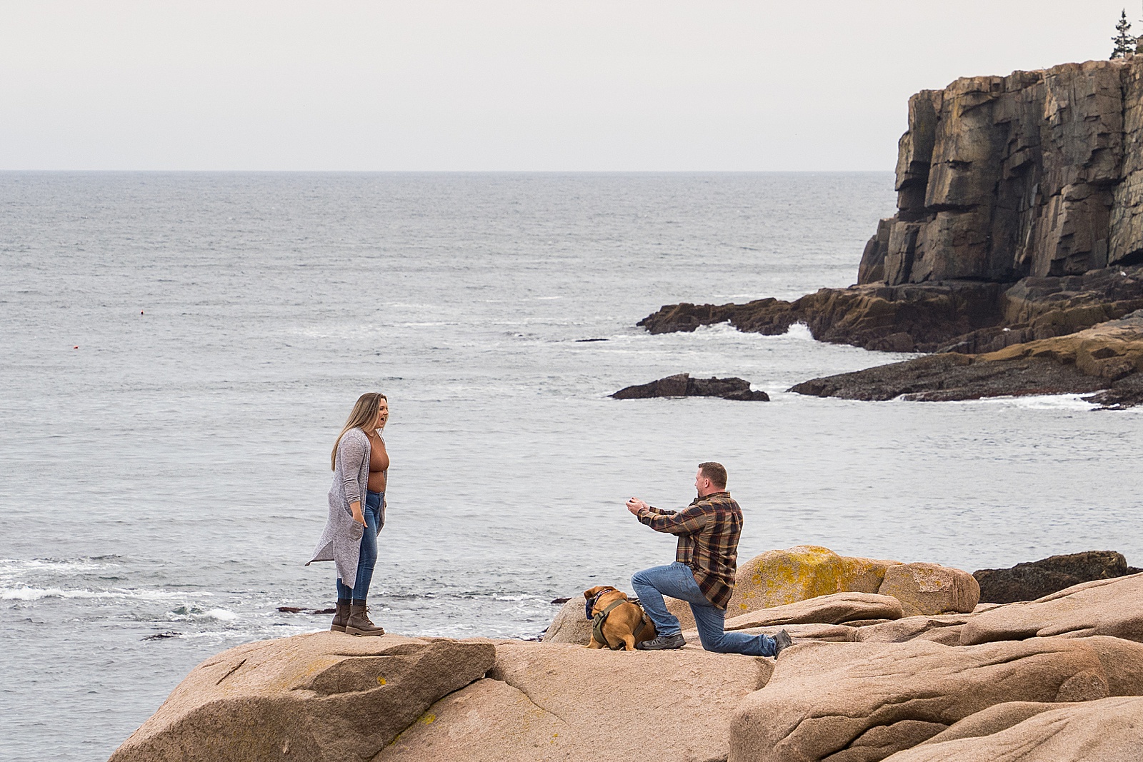 Acadia Secret Proposal
