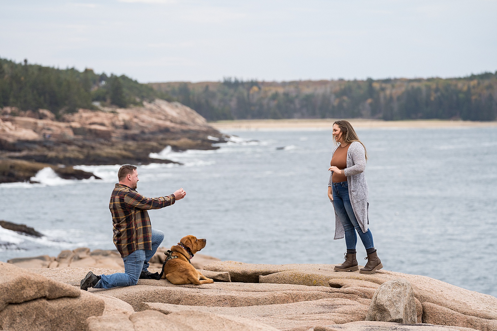 Acadia Secret Proposal