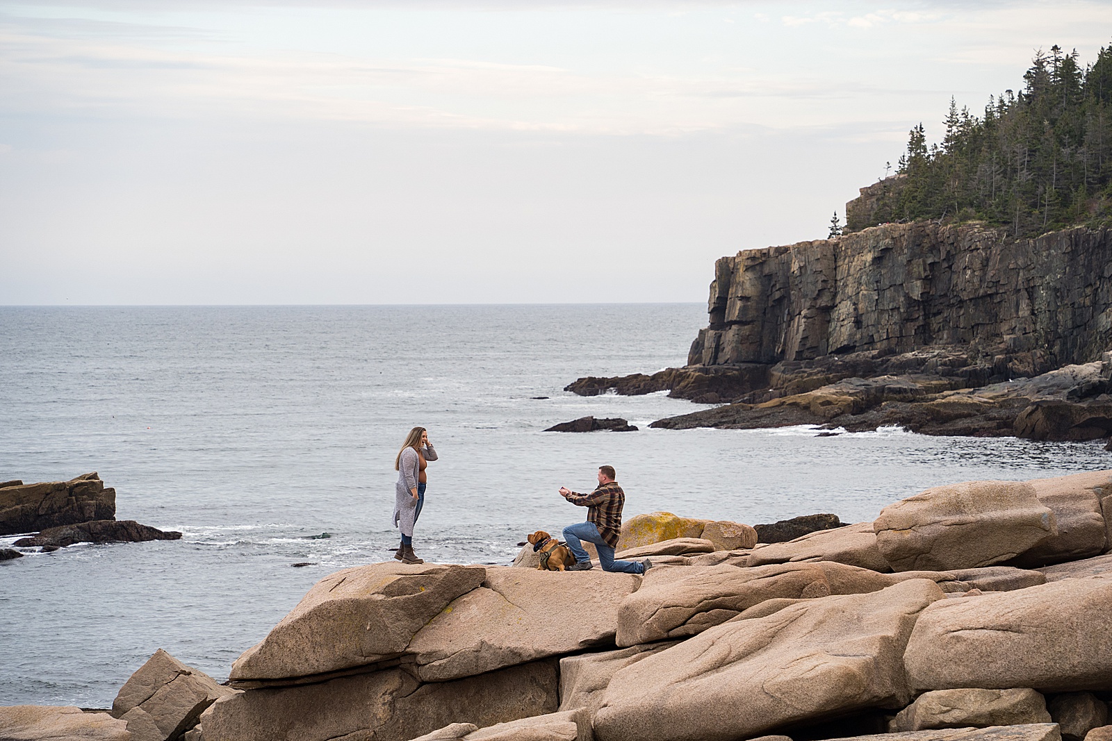 Acadia Secret Proposal