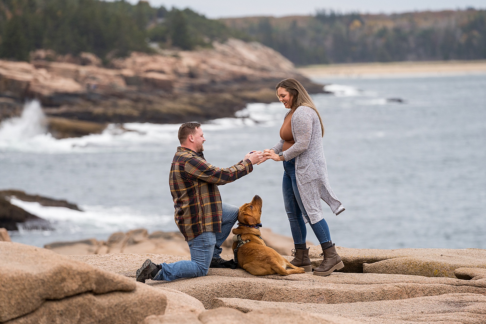 Acadia Secret Proposal