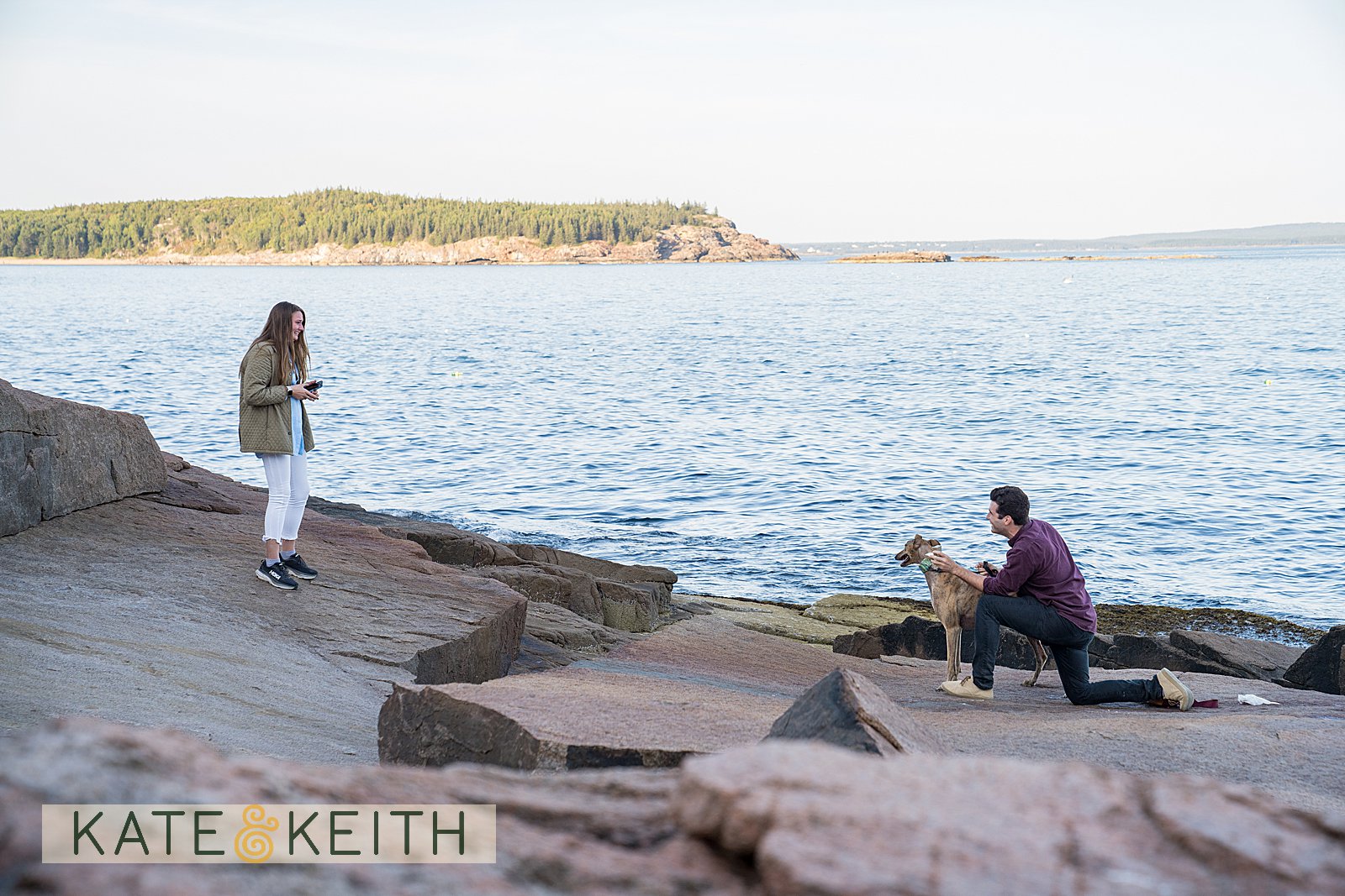 Surprise engagement in Acadia National Park
