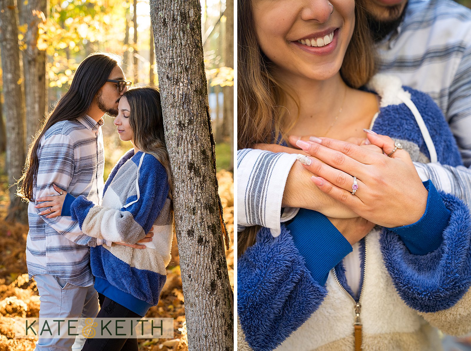 Acadia Fall Proposal