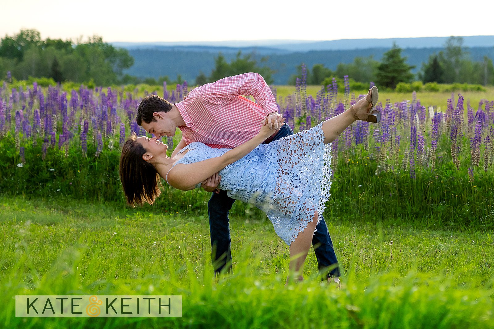 Dancing dip among lupines in Mount Desert Island