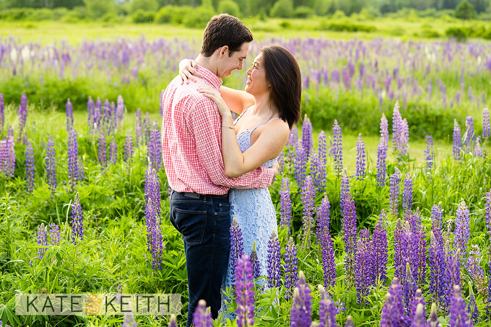 Quiet lupine field engagement location on Mount Desert Island