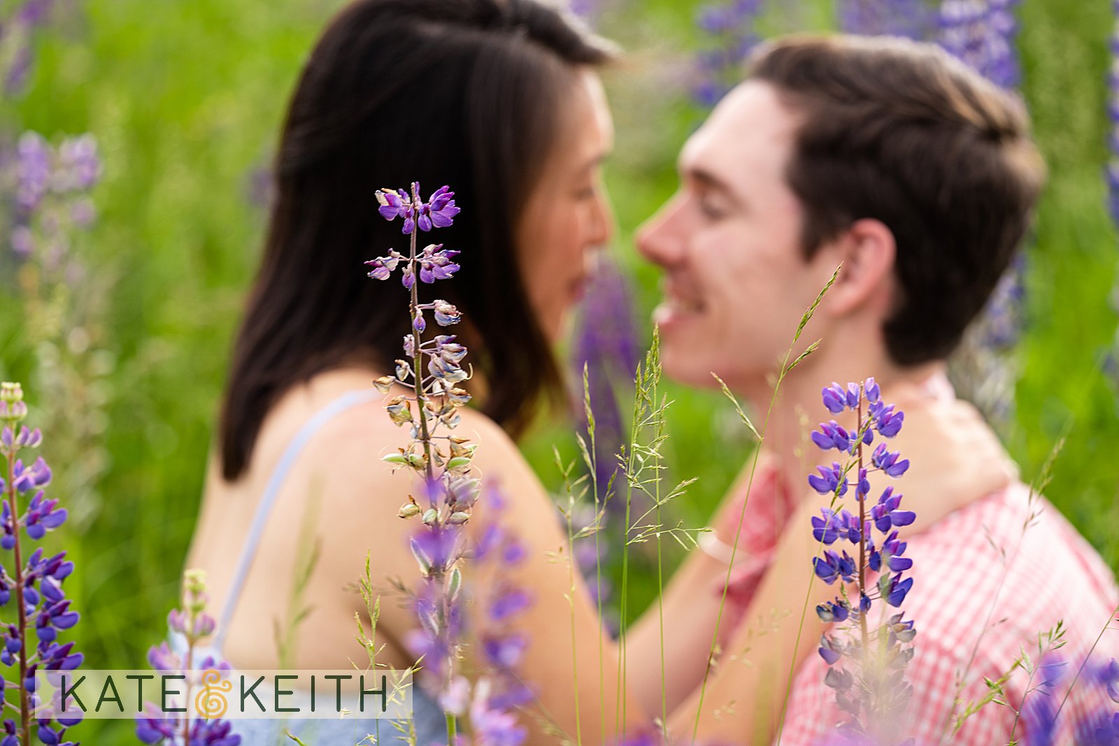 Lupine flowers overlooking couple celebrating engagement near Bar Harbor