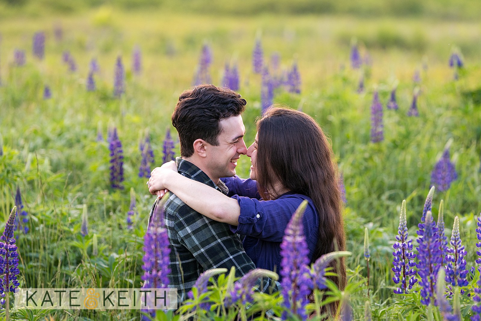 Private Acadia National Park proposal surrounded by wild lupines