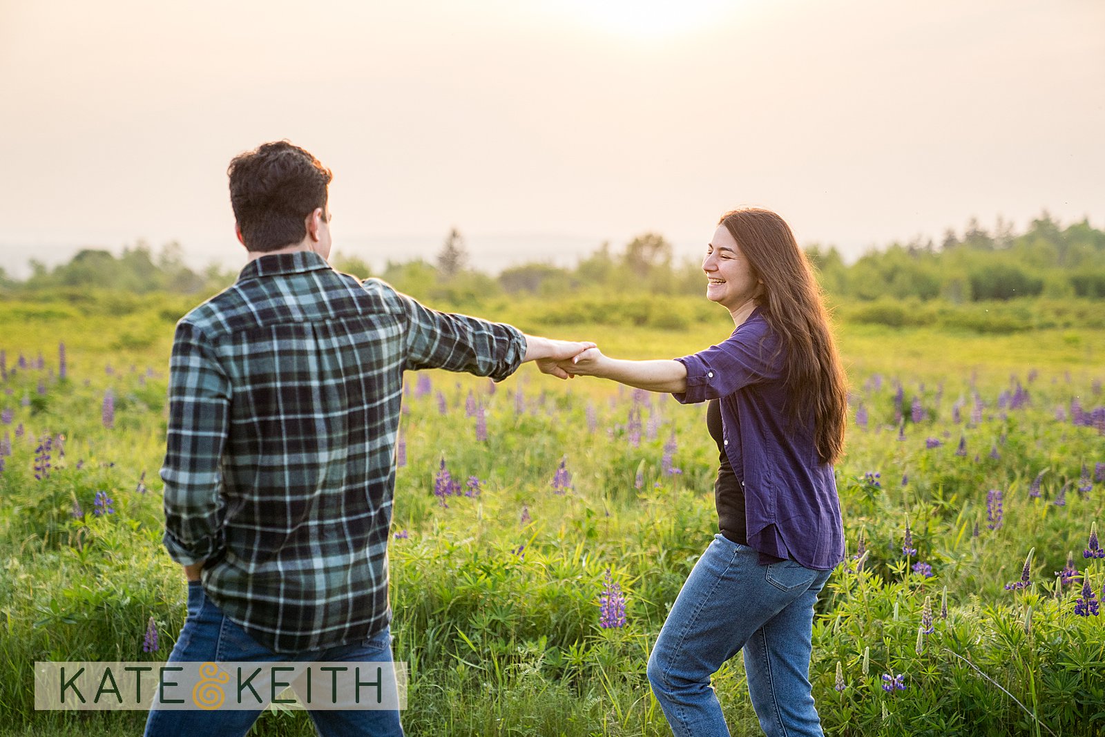 Engagement proposal in a hidden lupine meadow on Mount Desert Island
