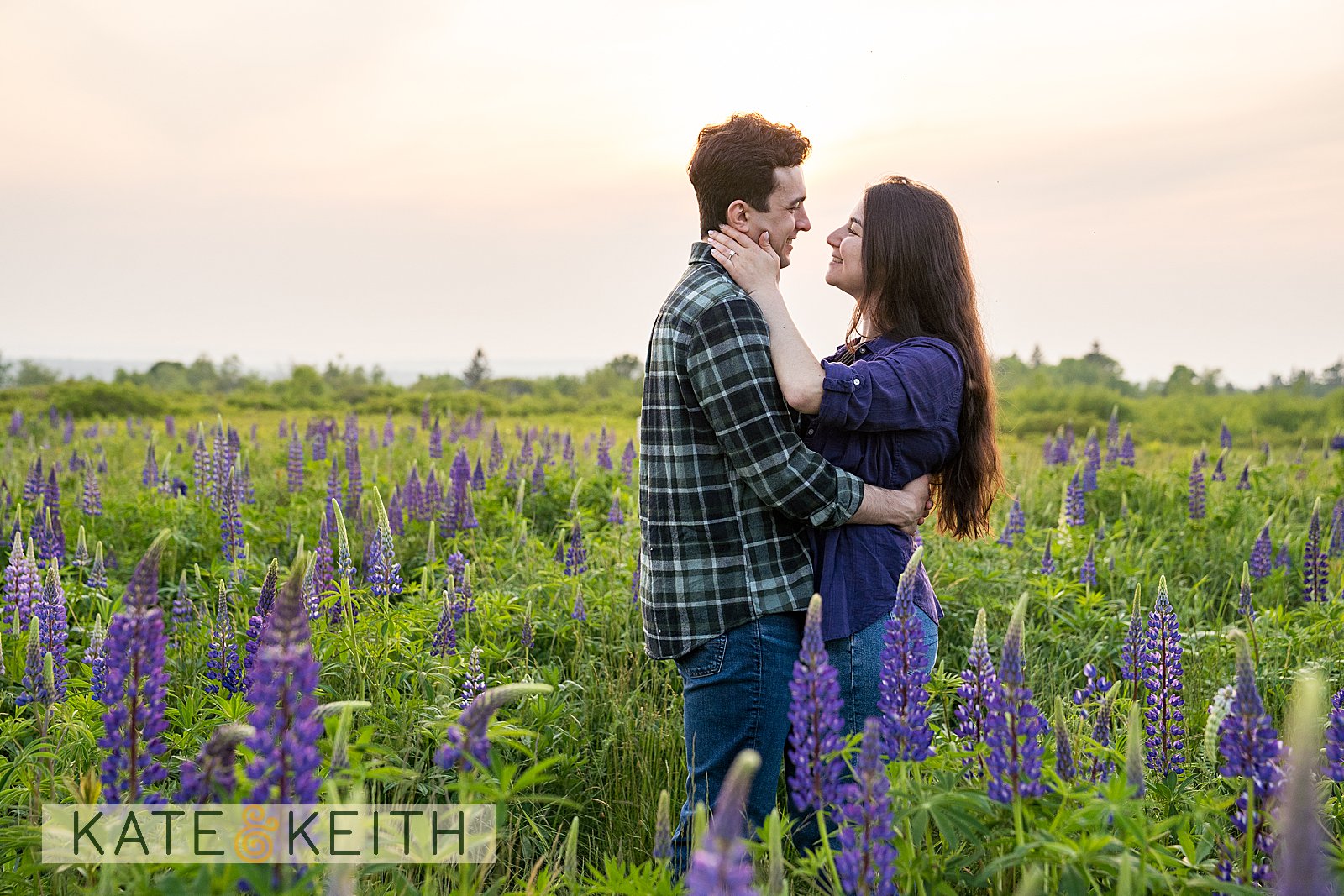 Couple celebrating engagement in blooming Maine lupines