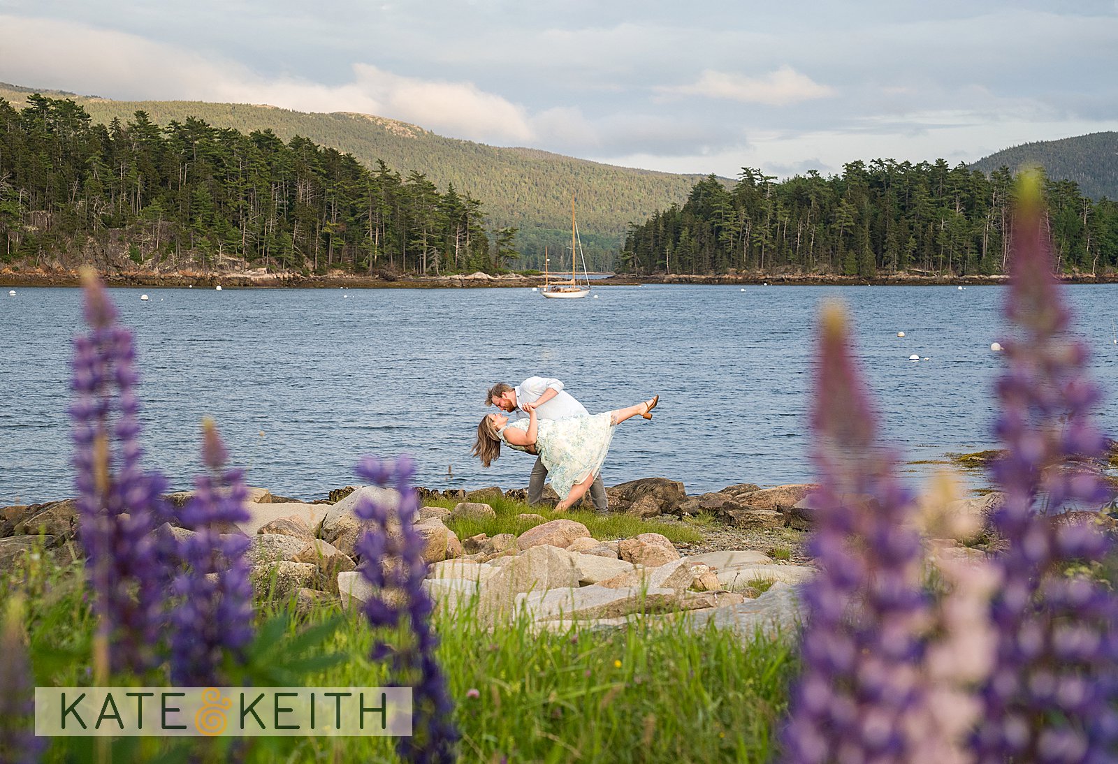 Coastal Maine lupine proposal on Mount Desert Island