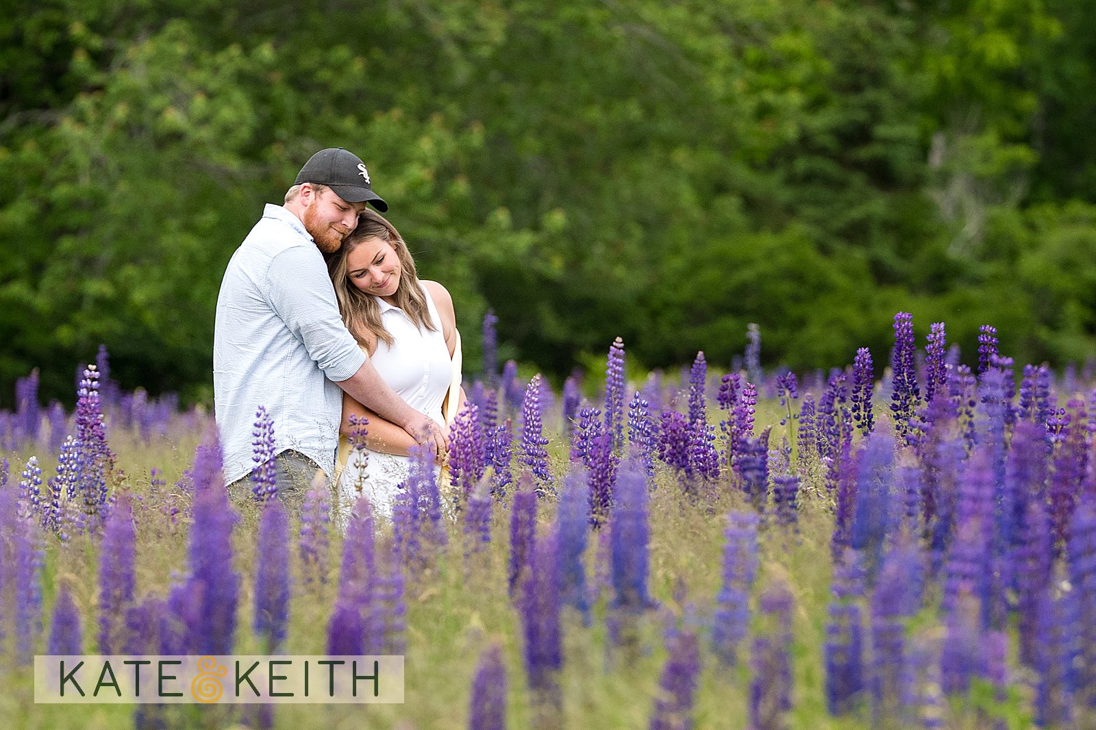 Intimate moment in wild lupine field on Mount Desert Island