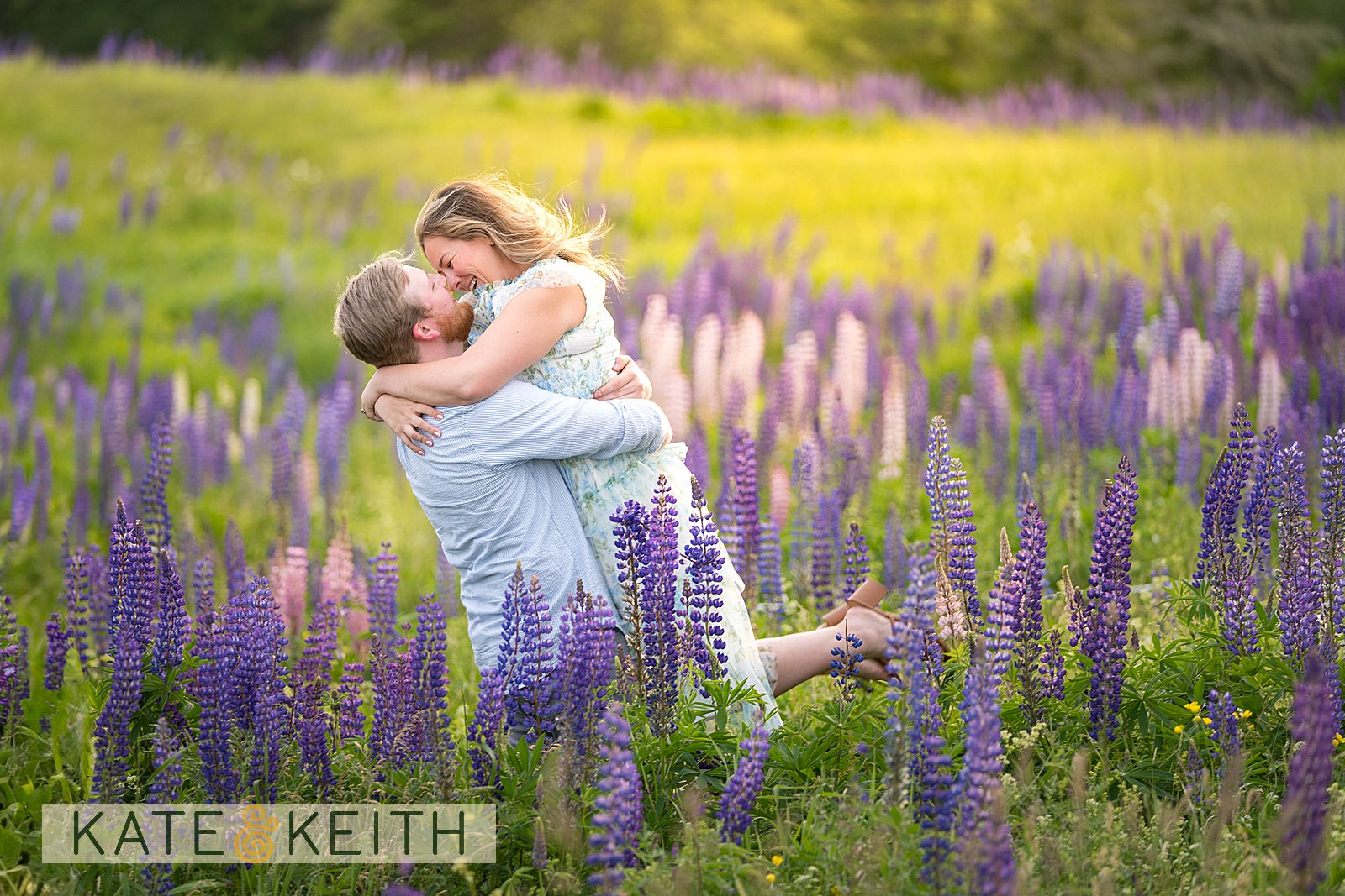 Couple embracing in Coastal Maine lupine meadow on Mount Desert Island