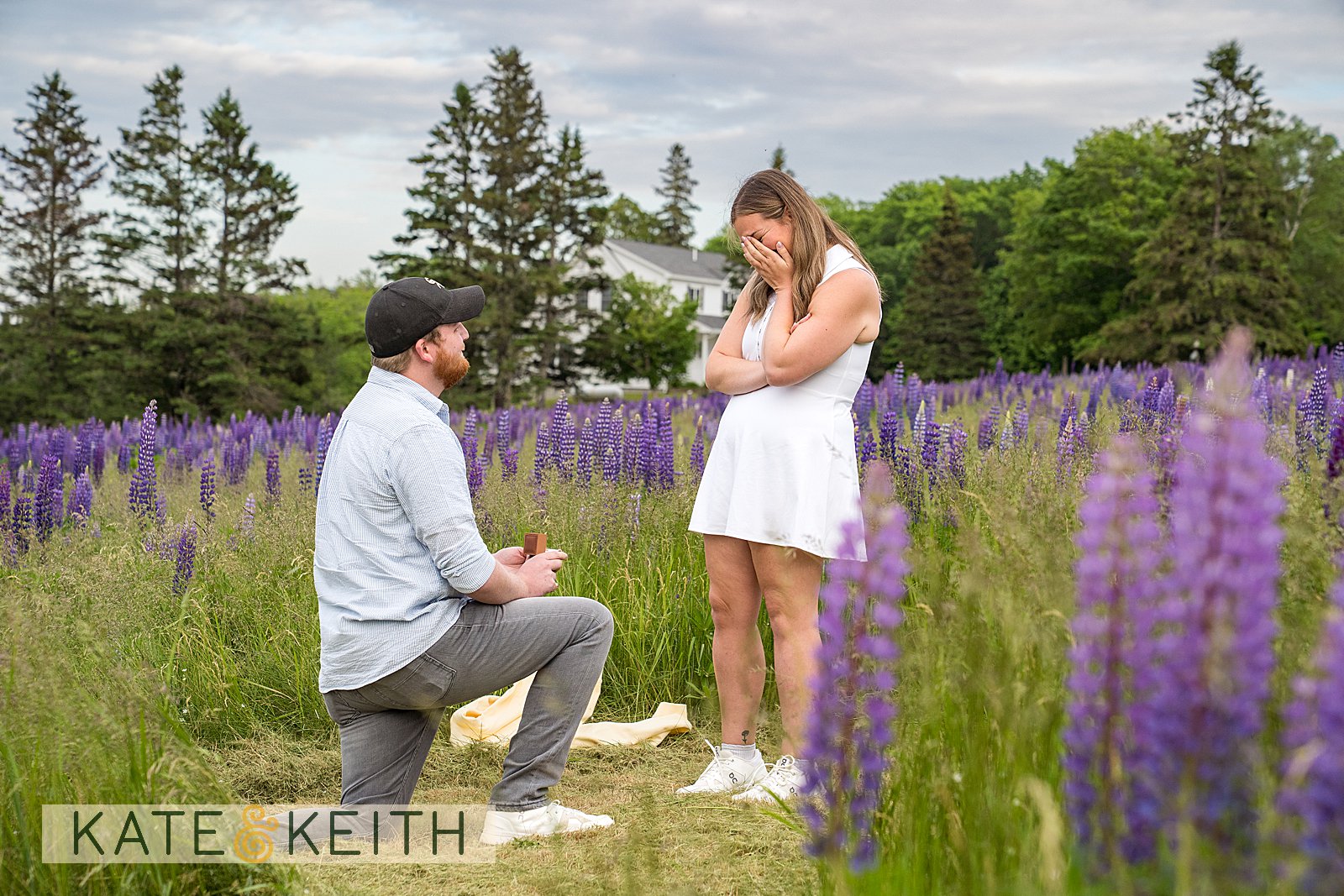 Private Acadia National Park proposal surrounded by wild lupines