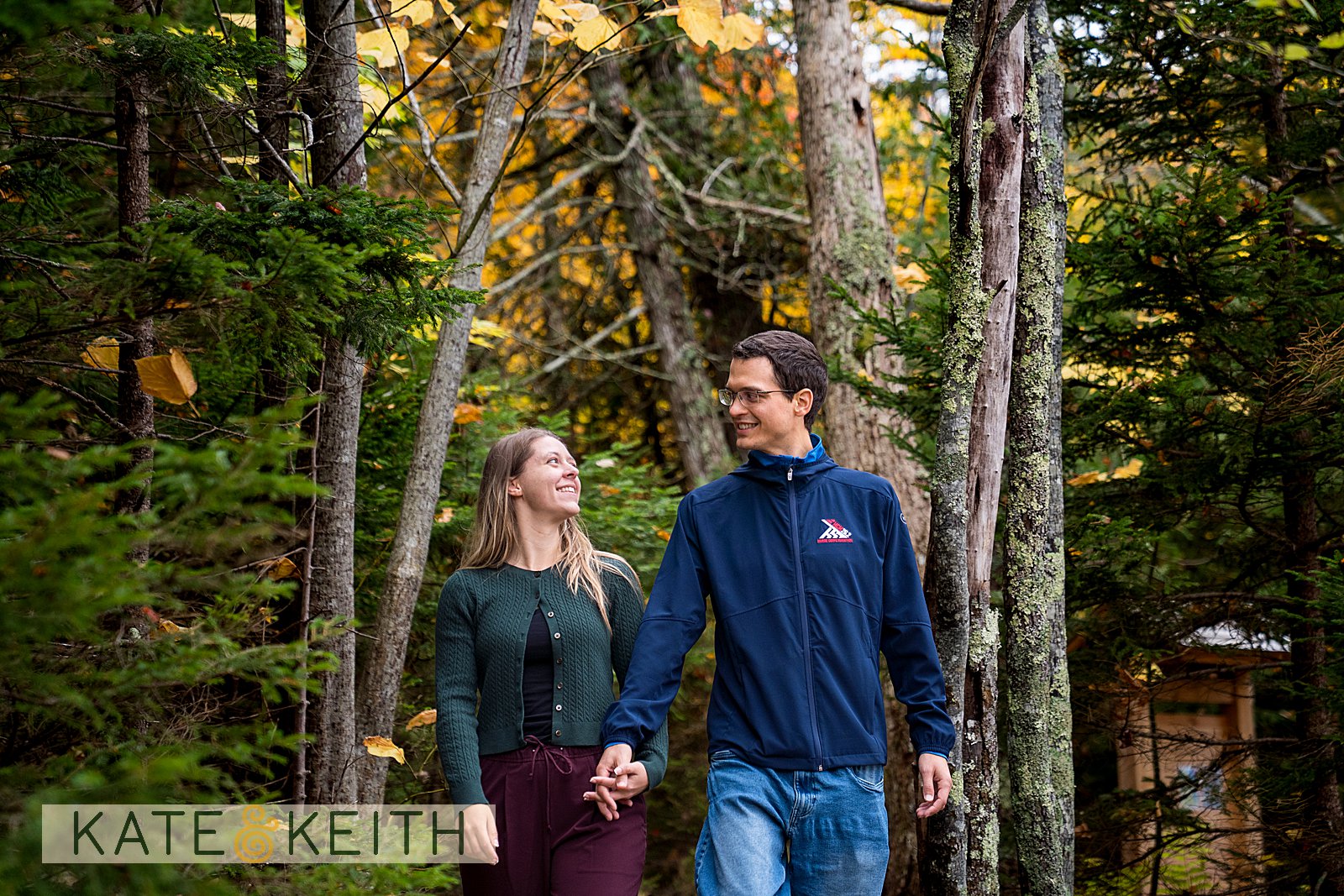 surprise Acadia proposal in October