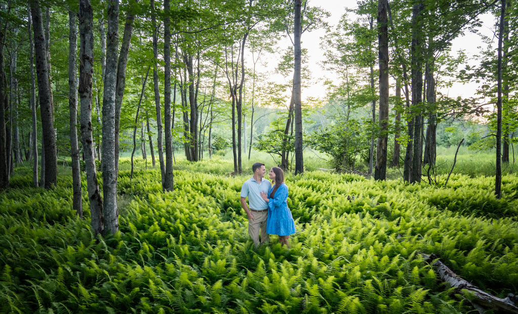 Acadia proposal in ferns and woods
